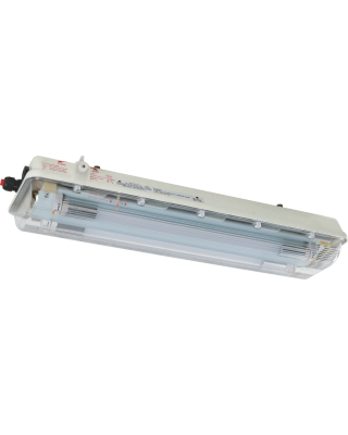 BAY51-Q LED Series Explosion...