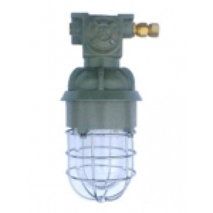 Explosion-proof ceiling light 100W