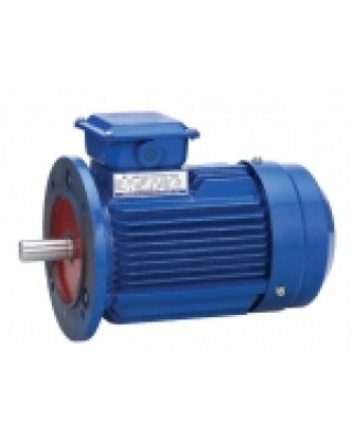 Motor with flange