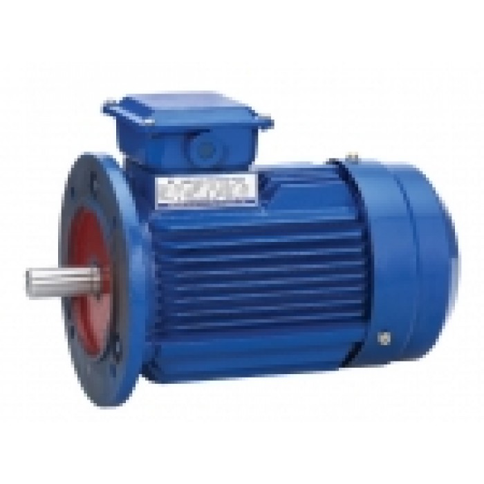 Motor with flange