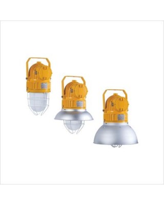 BDD91 Series Industrial Explosion Proof Pendant Light Fittings