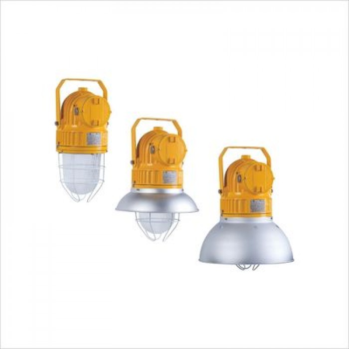 BDD91 Series Industrial Explosion Proof Pendant Light Fittings