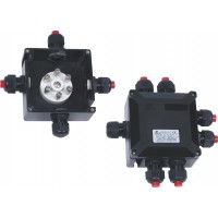 BXJ8050-20-6 Series Junction Boxes