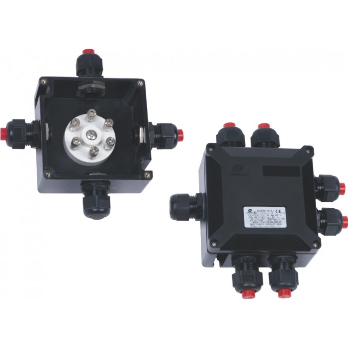BXJ8050-20-6 Series Junction Boxes