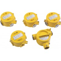  BHD51 Series Explosion-proof Junction Boxes