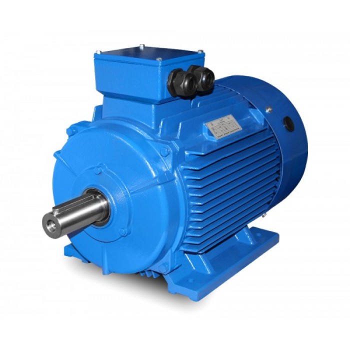 Ηλεκτροκινητήρας (μοτέρ) 55kW (75hp) - 3.000 RPM - B3 (με ποδια) - Διπολικό