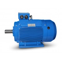 Ηλεκτροκινητήρας (μοτέρ) 75kW (100hp) - 3.000 RPM - B3 (με ποδια) - Διπολικό