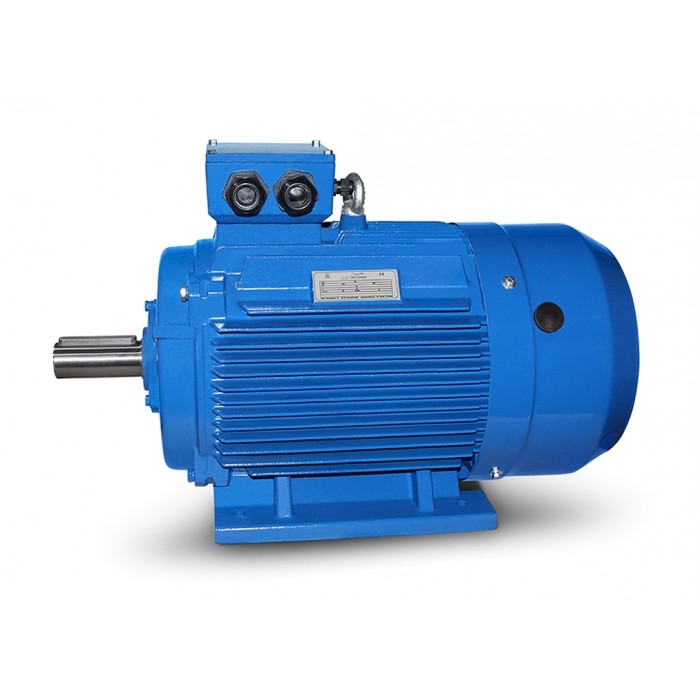 Ηλεκτροκινητήρας (μοτέρ) 75kW (100hp) - 3.000 RPM - B3 (με ποδια) - Διπολικό